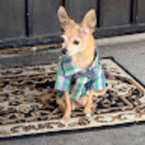 Meet your Posher, Daniela